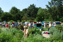 2008/thumbnails/DSC9521.jpg