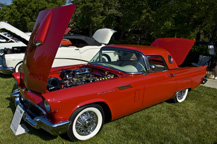 2008/thumbnails/DSC_4156.jpg