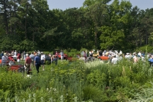 2009/thumbnails/-5337.jpg