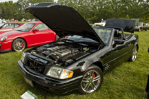 2009/thumbnails/DSC_4348.jpg