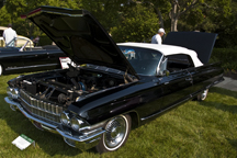 2009/thumbnails/DSC_4586.jpg