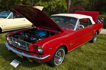 2009/thumbnails/DSC_4602.jpg