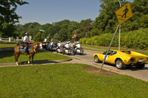 2009/thumbnails/_DSC9825.jpg