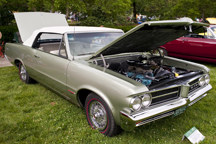 2010/thumbnails/DSC_0827.jpg