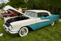2010/thumbnails/DSC_0843.jpg