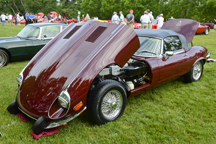 2011/thumbnails/_DSC2434.jpg
