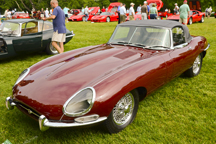 2011/thumbnails/_DSC2442.jpg