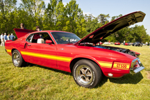 2012/thumbnails/DSC_1784.jpg