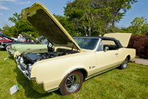 2012/thumbnails/DSC_1868.jpg