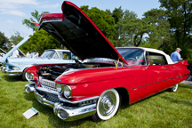 2012/thumbnails/DSC_1877.jpg