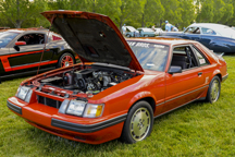 2014/thumbnails/DSC_5026.jpg