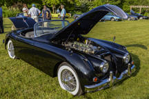 2014/thumbnails/DSC_5032.jpg