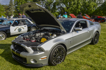 2014/thumbnails/DSC_5241.jpg