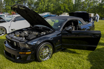 2014/thumbnails/DSC_5247.jpg