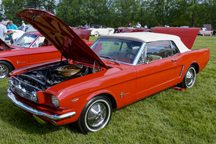 2014/thumbnails/DSC_5251.jpg