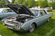 2015/thumbnails/_DSC4022.jpg