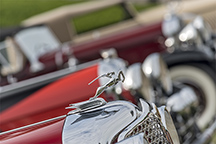 2015/thumbnails/_DSC6743.jpg