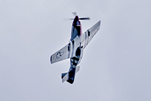 2016/thumbnails/_DSC1396.jpg
