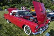 2016/thumbnails/_DSC3290.jpg
