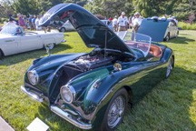 2017/thumbnails/DSC_0156.jpg