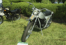 2022/thumbnails/DSC_0411.jpg