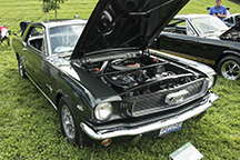 2022/thumbnails/DSC_0498.jpg